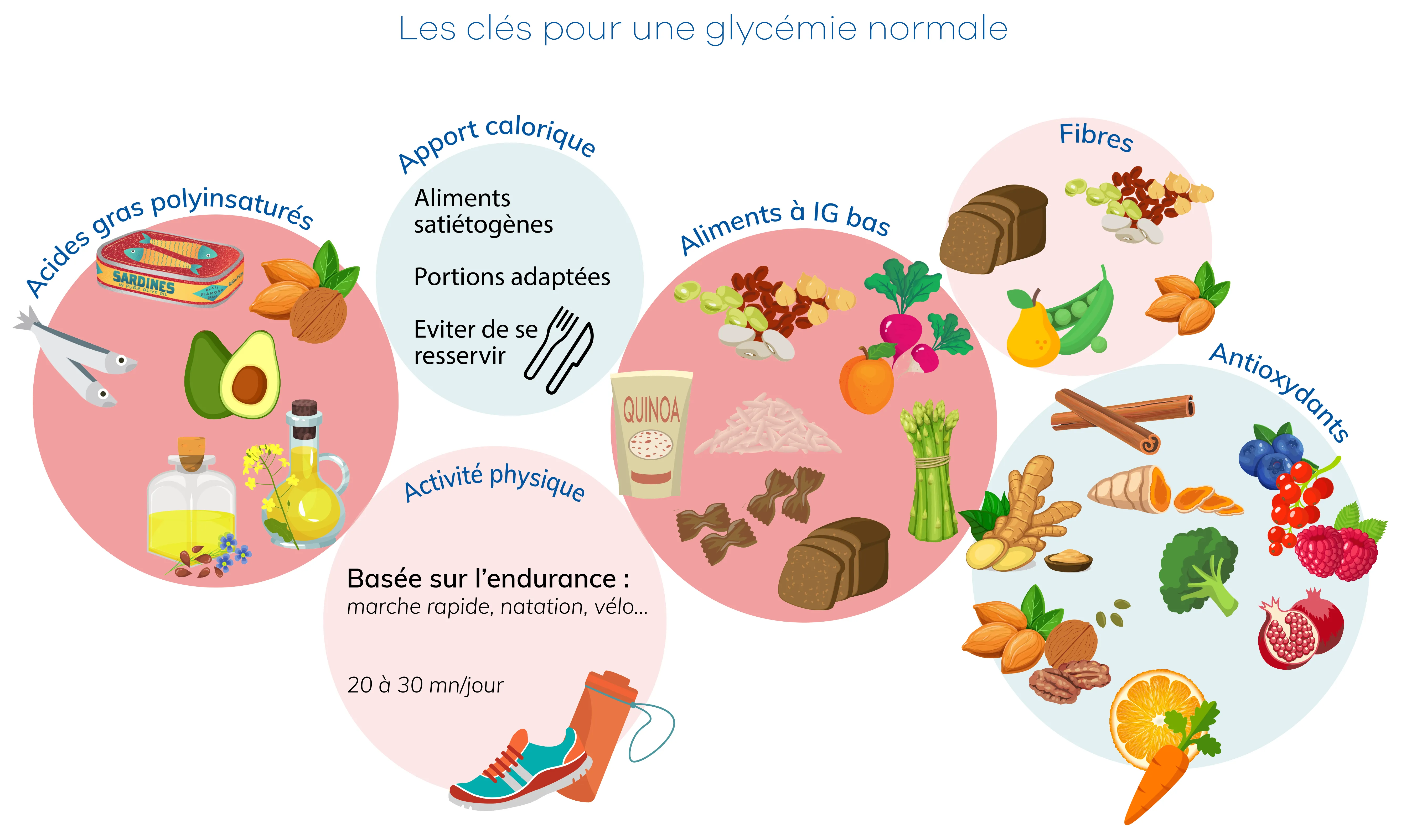 Les cl&eacute;s pour une glyc&eacute;mie normale